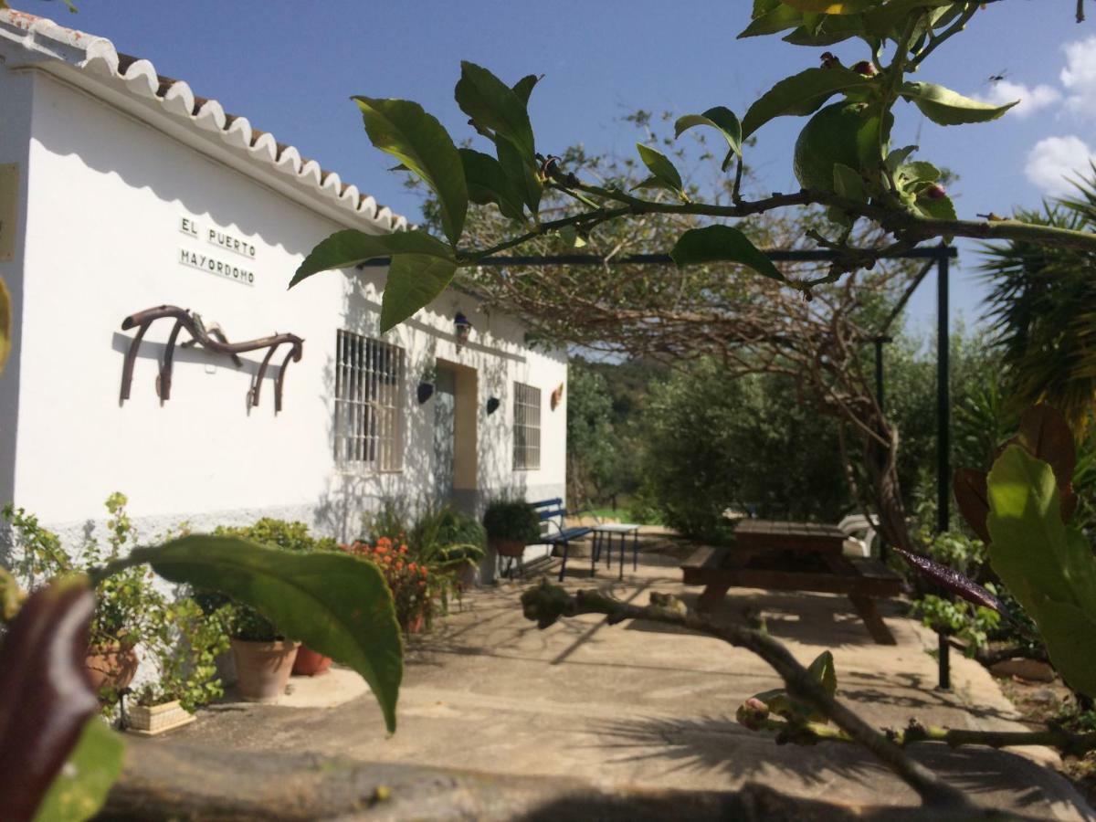 Rural El Puerto Mayordomo Ardales Luaran gambar